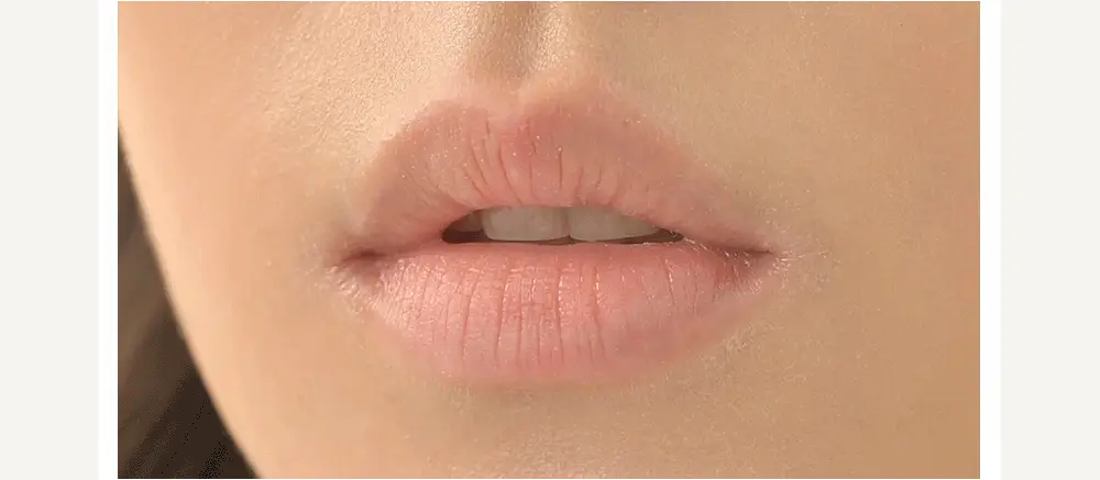 [각질순삭&매끈탱글]후르디아 블루베리 보습 허니 립밤10ml 상세페이지 19